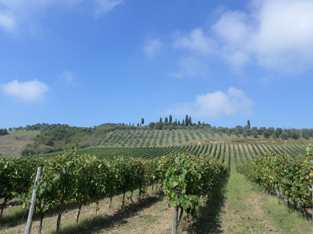Tenuta Villa Rocchi توريتا دي سيينا المظهر الخارجي الصورة