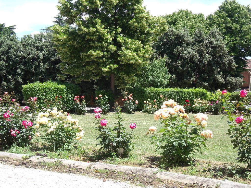 Tenuta Villa Rocchi توريتا دي سيينا المظهر الخارجي الصورة